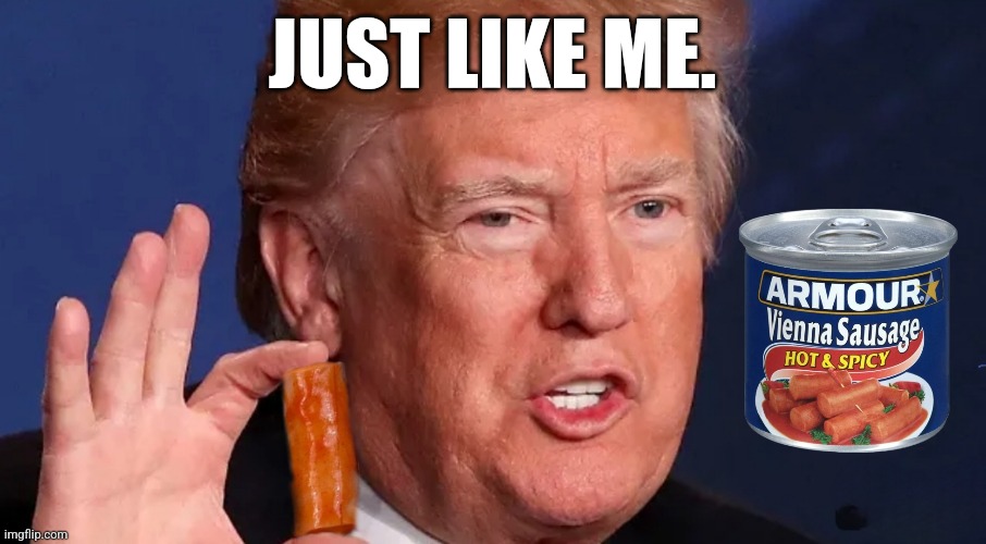 Weiner Trump | JUST LIKE ME. | image tagged in donald trump | made w/ Imgflip meme maker