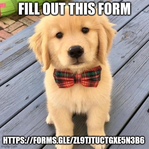 hello | FILL OUT THIS FORM; HTTPS://FORMS.GLE/ZL9TJTUCTGXE5N3B6 | image tagged in hello | made w/ Imgflip meme maker