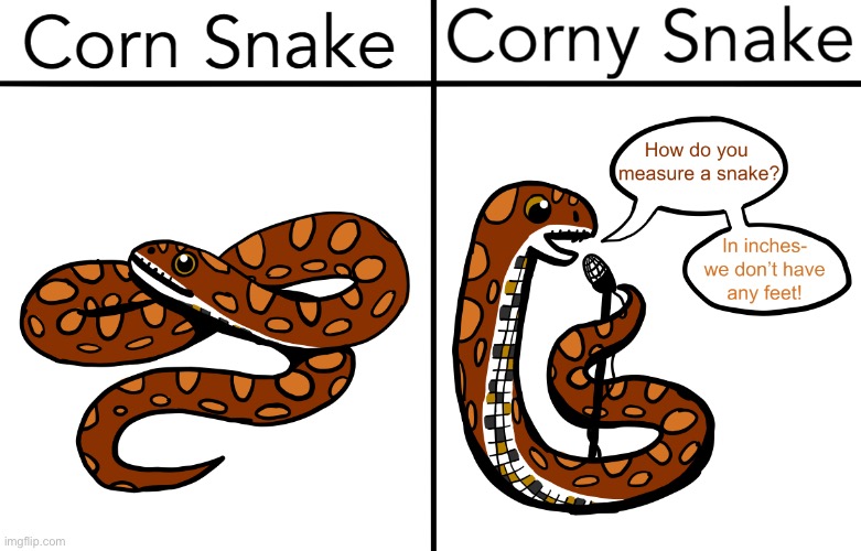 Corn Snake vs. Corny Snake | image tagged in snek,funny,cornm snaek,corn | made w/ Imgflip meme maker