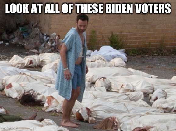 The Walking dead corpses | LOOK AT ALL OF THESE BIDEN VOTERS | image tagged in the walking dead corpses | made w/ Imgflip meme maker