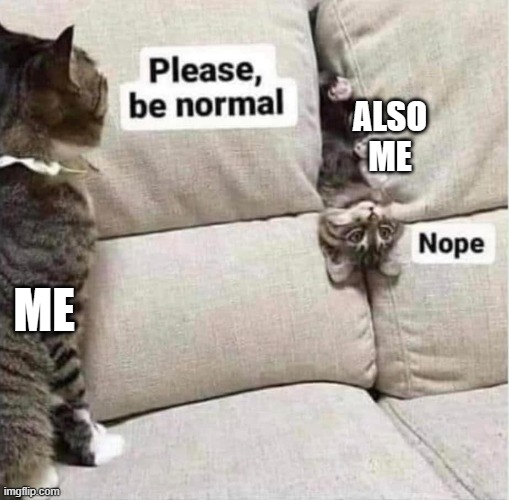 Me? Normal? | ALSO
ME; ME | image tagged in normal | made w/ Imgflip meme maker