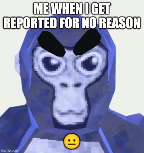 Angry monke | ME WHEN I GET REPORTED FOR NO REASON; 😐 | image tagged in angry monke | made w/ Imgflip meme maker