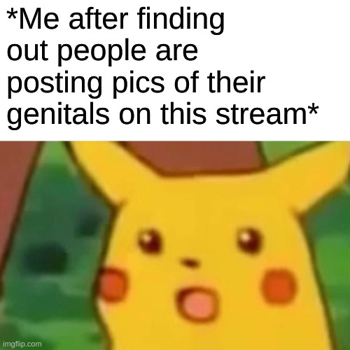 WHY THOUGH?!?!?!? | *Me after finding out people are posting pics of their genitals on this stream* | image tagged in memes,surprised pikachu | made w/ Imgflip meme maker