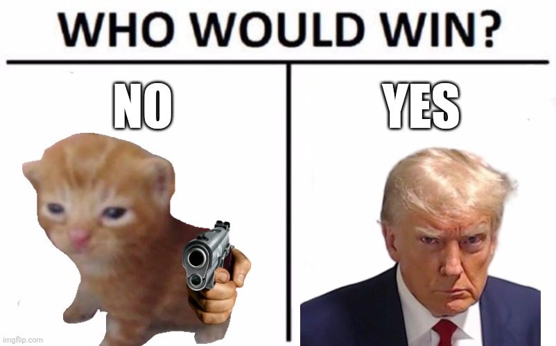 Aaaaaaaa | NO; YES | image tagged in memes,who would win | made w/ Imgflip meme maker