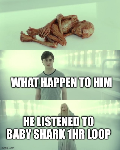 Harry Potter and Dumbledore | WHAT HAPPEN TO HIM; HE LISTENED TO BABY SHARK 1HR LOOP | image tagged in harry potter and dumbledore | made w/ Imgflip meme maker
