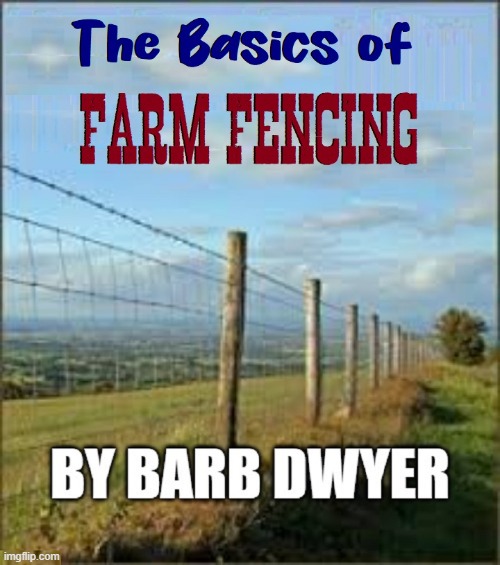 Actual Metal Fencing Wire is made of Irony | image tagged in vince vance,barbed wire,fence,memes,books,self-help books | made w/ Imgflip meme maker
