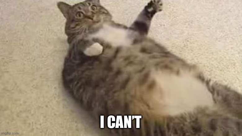 fat-cat-trying-to-roll-over | I CAN’T | image tagged in fat-cat-trying-to-roll-over | made w/ Imgflip meme maker