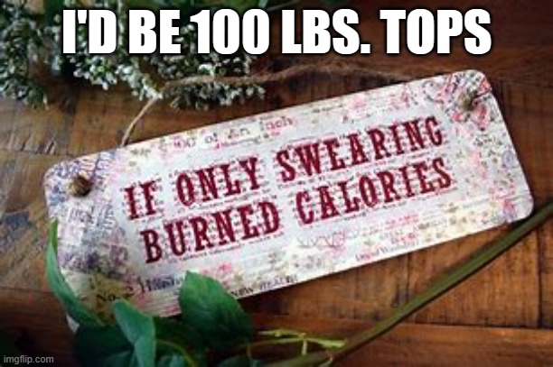 meme by Brad if only swearing burndt calories | I'D BE 100 LBS. TOPS | image tagged in gaming,funny,pc gaming,video games,computer games,humor | made w/ Imgflip meme maker