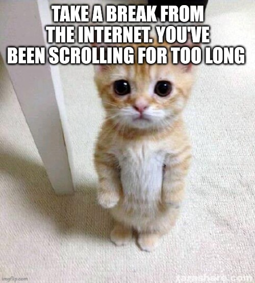 enough for today | TAKE A BREAK FROM THE INTERNET. YOU'VE BEEN SCROLLING FOR TOO LONG | image tagged in memes,cute cat | made w/ Imgflip meme maker