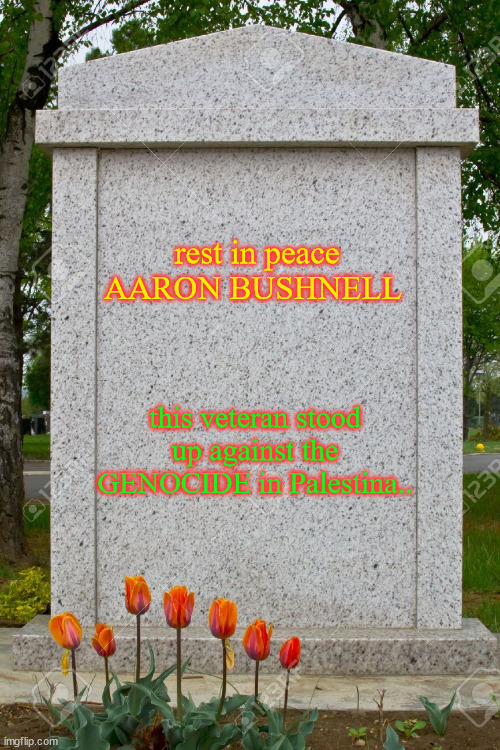 AARON BUSHNELL | rest in peace AARON BUSHNELL; this veteran stood up against the GENOCIDE in Palestina.. | image tagged in blank gravestone | made w/ Imgflip meme maker