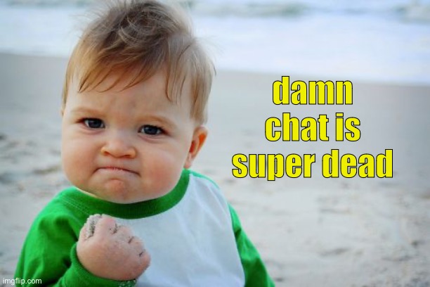 dead chat | damn chat is super dead | image tagged in memes,success kid original | made w/ Imgflip meme maker
