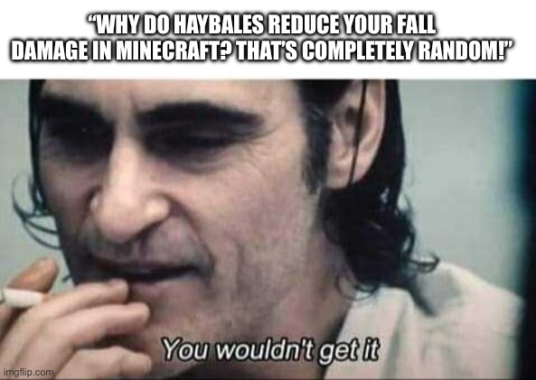 You wouldn't get it | “WHY DO HAYBALES REDUCE YOUR FALL DAMAGE IN MINECRAFT? THAT’S COMPLETELY RANDOM!” | image tagged in you wouldn't get it,minecraft | made w/ Imgflip meme maker