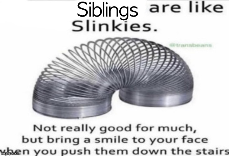 Wowzers | Siblings | image tagged in some _ are like slinkies,wowzers | made w/ Imgflip meme maker