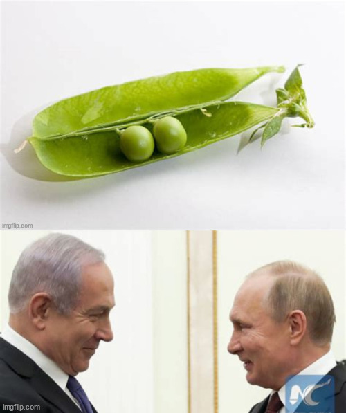 sim-i-le | image tagged in 2 peas in a pod,netanyahu,putin,war criminals,maga nazis,fascists | made w/ Imgflip meme maker
