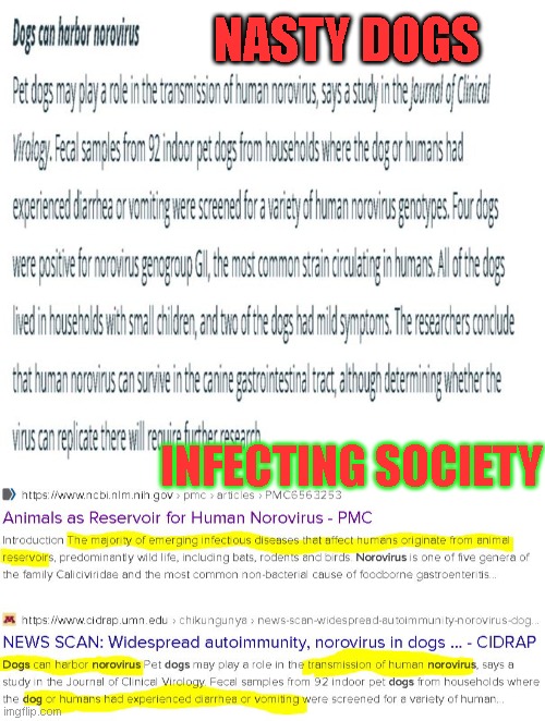 NASTY DOGS; INFECTING SOCIETY | image tagged in dogs | made w/ Imgflip meme maker