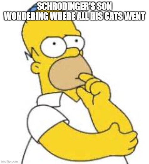Do not let the cat out of the ba- i mean box | SCHRODINGER'S SON WONDERING WHERE ALL HIS CATS WENT | image tagged in homer simpson hmmmm | made w/ Imgflip meme maker