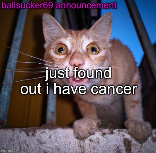 goofy ass cat | just found out i have cancer ballsucker69 announcement | image tagged in goofy ass cat | made w/ Imgflip meme maker