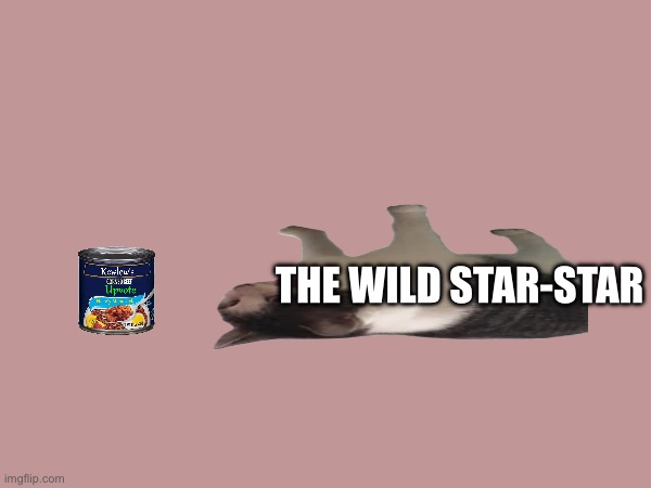 THE WILD STAR-STAR | made w/ Imgflip meme maker
