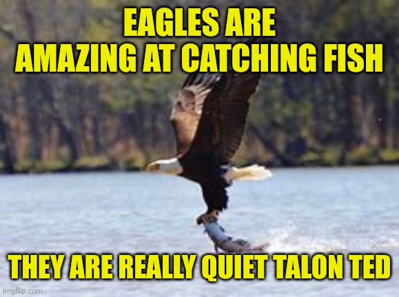 Eagle with fish | EAGLES ARE AMAZING AT CATCHING FISH; THEY ARE REALLY QUIET TALON TED | image tagged in eagle with fish | made w/ Imgflip meme maker