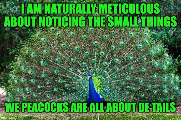 Peacock | I AM NATURALLY METICULOUS ABOUT NOTICING THE SMALL THINGS; WE PEACOCKS ARE ALL ABOUT DE TAILS | image tagged in peacock | made w/ Imgflip meme maker