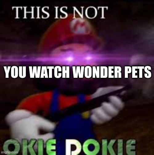 Haters of Wonder pets | YOU WATCH WONDER PETS | image tagged in this is not okie dokie,memes,mario,smg4 | made w/ Imgflip meme maker