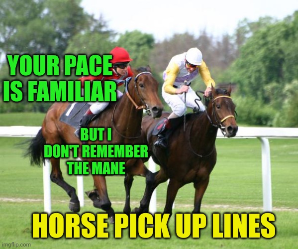 two horses racing | YOUR PACE IS FAMILIAR; BUT I DON'T REMEMBER THE MANE; HORSE PICK UP LINES | image tagged in two horses racing | made w/ Imgflip meme maker