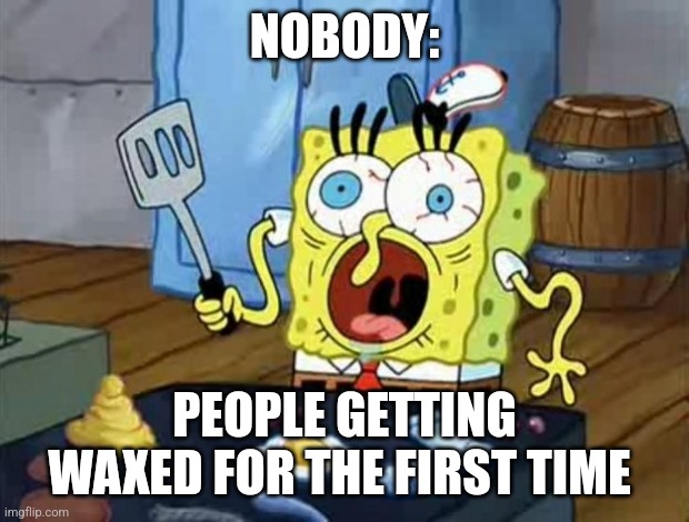 I'm never getting waxed | NOBODY:; PEOPLE GETTING WAXED FOR THE FIRST TIME | image tagged in crazy spongebob,relatable,pain,jpfan102504 | made w/ Imgflip meme maker