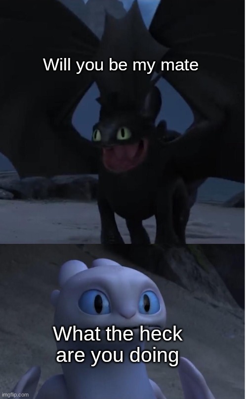 toothless and light fury meme >:) | Will you be my mate; What the heck are you doing | image tagged in toothless and lightfury meme | made w/ Imgflip meme maker