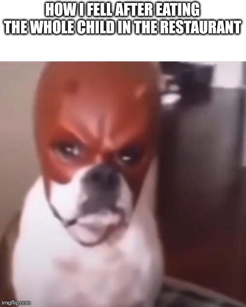 Dog with daredevil mask | HOW I FELL AFTER EATING THE WHOLE CHILD IN THE RESTAURANT | image tagged in dog with daredevil mask,memes,evil,dog,restaurant | made w/ Imgflip meme maker