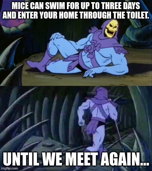 Skeletor disturbing facts | MICE CAN SWIM FOR UP TO THREE DAYS AND ENTER YOUR HOME THROUGH THE TOILET. UNTIL WE MEET AGAIN... | image tagged in skeletor disturbing facts | made w/ Imgflip meme maker