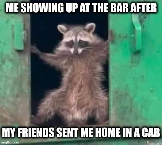 Bar Raccoon | ME SHOWING UP AT THE BAR AFTER; MY FRIENDS SENT ME HOME IN A CAB | image tagged in bar jokes | made w/ Imgflip meme maker