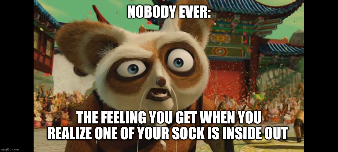 My sock is inside out | NOBODY EVER:; THE FEELING YOU GET WHEN YOU REALIZE ONE OF YOUR SOCK IS INSIDE OUT | image tagged in annoyed shifu,relatable,annoying | made w/ Imgflip meme maker