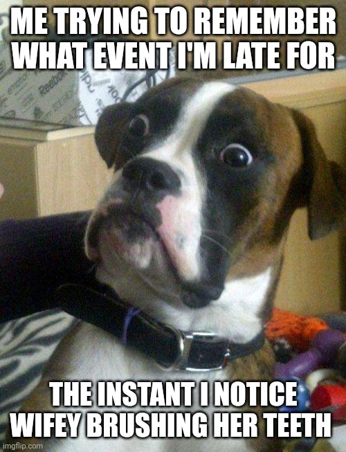 Late dad | ME TRYING TO REMEMBER WHAT EVENT I'M LATE FOR; THE INSTANT I NOTICE WIFEY BRUSHING HER TEETH | image tagged in blankie the shocked dog | made w/ Imgflip meme maker