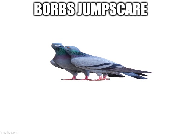 Hi | BORBS JUMPSCARE | image tagged in so spoopy | made w/ Imgflip meme maker