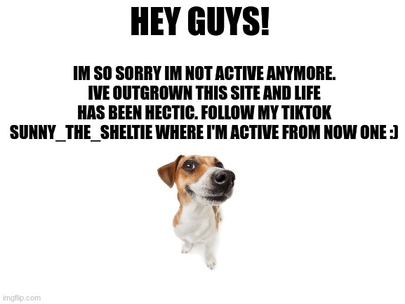ill be on the site modding every once in awhile. ^^ | HEY GUYS! IM SO SORRY IM NOT ACTIVE ANYMORE. IVE OUTGROWN THIS SITE AND LIFE HAS BEEN HECTIC. FOLLOW MY TIKTOK SUNNY_THE_SHELTIE WHERE I'M ACTIVE FROM NOW ONE :) | image tagged in blank white template,furry,the furry fandom,goodbye,new era,meme | made w/ Imgflip meme maker