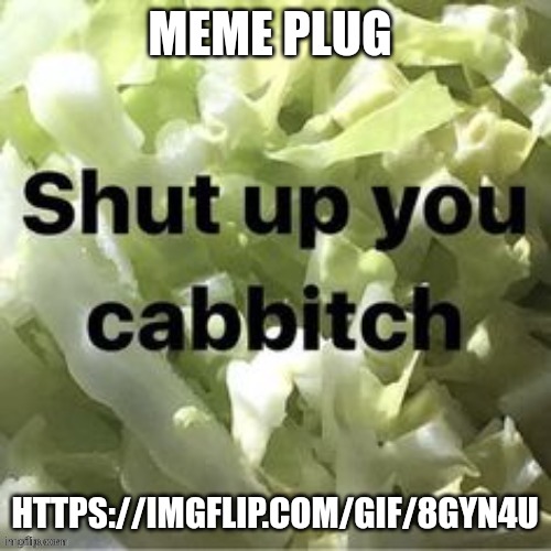 Shut up you cabbitch | MEME PLUG; HTTPS://IMGFLIP.COM/GIF/8GYN4U | image tagged in shut up you cabbitch | made w/ Imgflip meme maker