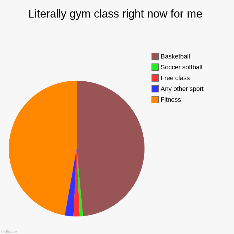 I've officially lost my sanity to live | Literally gym class right now for me | Fitness, Any other sport, Free class, Soccer softball, Basketball | image tagged in pie charts | made w/ Imgflip chart maker