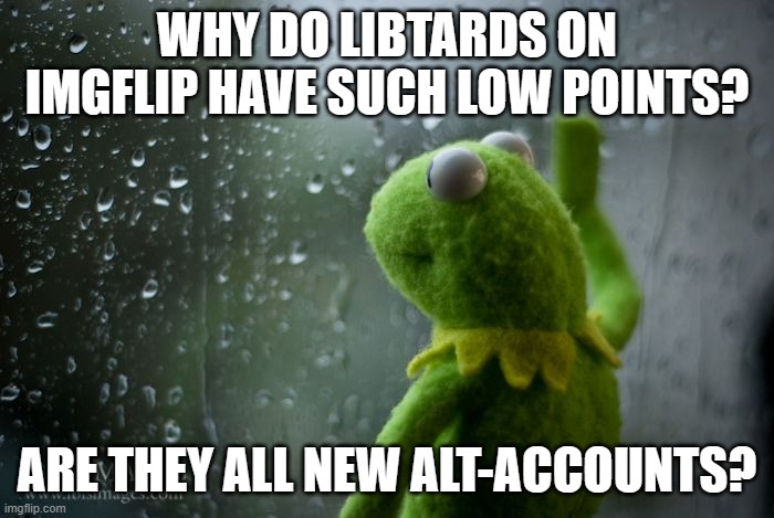 kermit window | WHY DO LIBTARDS ON IMGFLIP HAVE SUCH LOW POINTS? ARE THEY ALL NEW ALT-ACCOUNTS? | image tagged in kermit window | made w/ Imgflip meme maker