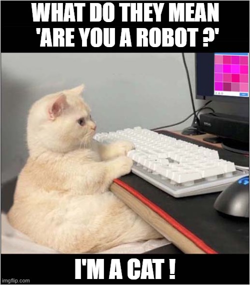 Computer Cat Confused ! | WHAT DO THEY MEAN 
'ARE YOU A ROBOT ?'; I'M A CAT ! | image tagged in cats,computers,are you a robot | made w/ Imgflip meme maker