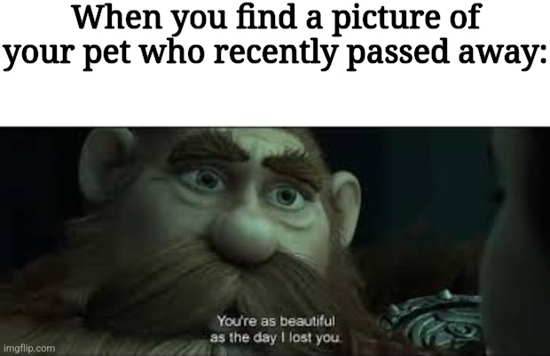 true story :( | When you find a picture of your pet who recently passed away: | image tagged in you're as beautiful as the day i lost you,relatable,memes | made w/ Imgflip meme maker