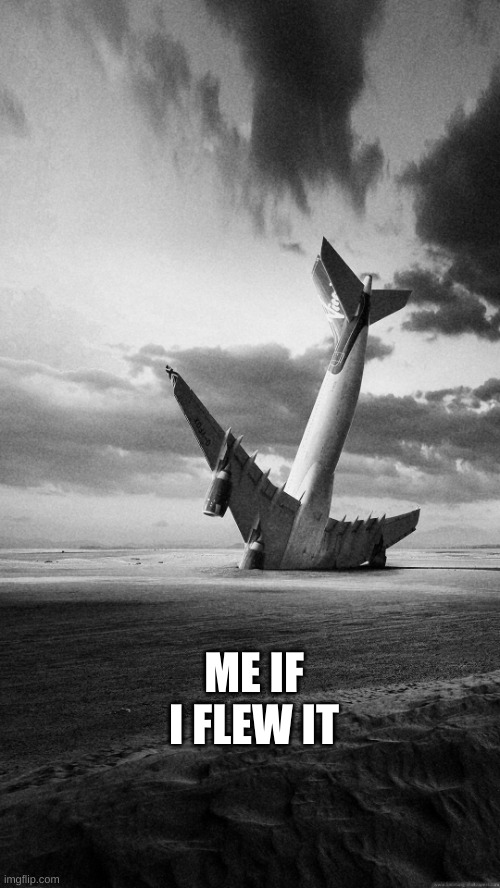 Plane crash | ME IF I FLEW IT | image tagged in plane crash | made w/ Imgflip meme maker