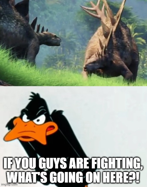 Daffy Duck Meets Stegosaurus | IF YOU GUYS ARE FIGHTING, WHAT'S GOING ON HERE?! | image tagged in dinosaurs,jurassic park,jurassic world,daffy duck,looney tunes | made w/ Imgflip meme maker