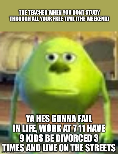 bro FR my only freetime is on the weekend im not gonna waste it on studying the word equal | THE TEACHER WHEN YOU DONT STUDY THROUGH ALL YOUR FREE TIME (THE WEEKEND); YA HES GONNA FAIL IN LIFE, WORK AT 7 11 HAVE 9 KIDS BE DIVORCED 3 TIMES AND LIVE ON THE STREETS | image tagged in sully wazowski | made w/ Imgflip meme maker