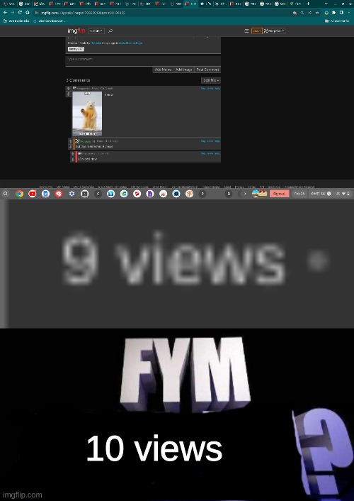 10 views | image tagged in fym______ | made w/ Imgflip meme maker