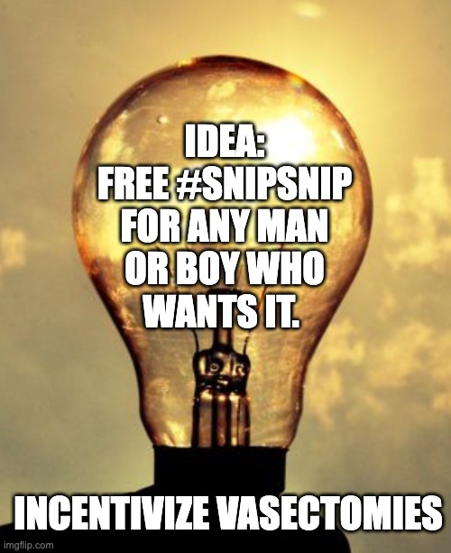 Incentivize vasectomies | IDEA:
FREE #SNIPSNIP
FOR ANY MAN
OR BOY WHO
WANTS IT. INCENTIVIZE VASECTOMIES | image tagged in light bulb,snipsnip,vasectomies,birth control,reversible | made w/ Imgflip meme maker