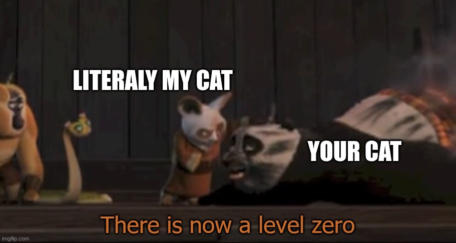 There is now a level zero | LITERALY MY CAT YOUR CAT | image tagged in there is now a level zero | made w/ Imgflip meme maker