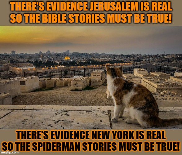 This #lolcat wonders if something is true 'because it's in the Bible!' | THERE'S EVIDENCE JERUSALEM IS REAL
SO THE BIBLE STORIES MUST BE TRUE! THERE'S EVIDENCE NEW YORK IS REAL
SO THE SPIDERMAN STORIES MUST BE TRUE! | image tagged in bible,fairy tales,true story,history,lolcat | made w/ Imgflip meme maker