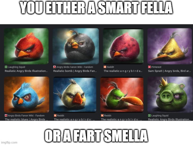 YOU EITHER A SMART FELLA; OR A FART SMELLA | image tagged in realistic angry bird | made w/ Imgflip meme maker
