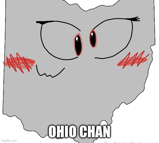 Omg | OHIO CHAN | image tagged in ohio-chan | made w/ Imgflip meme maker