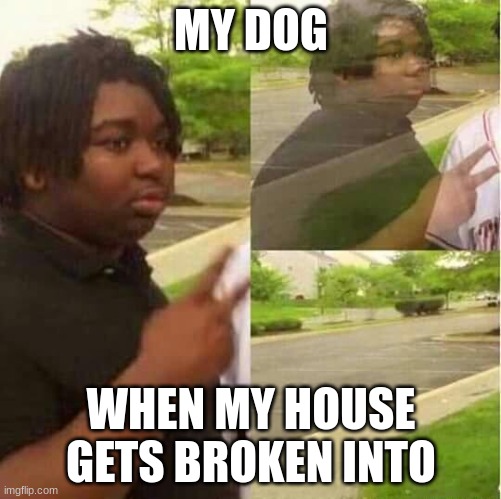 disappearing  | MY DOG; WHEN MY HOUSE GETS BROKEN INTO | image tagged in disappearing | made w/ Imgflip meme maker